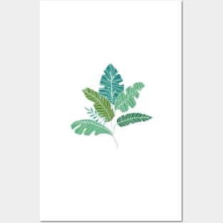 Contour Line Leaves in Mint Posters and Art